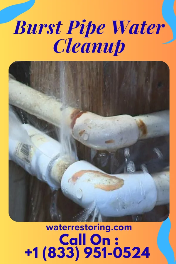 Burst Pipe Water Cleanup in Rosholt, WI
