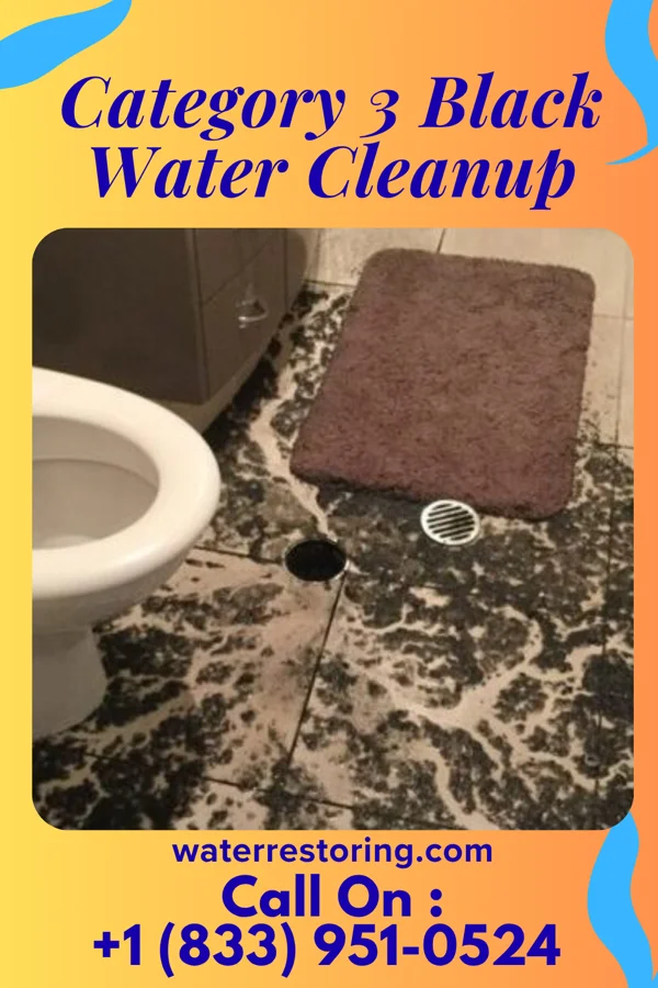 Category 3 Black Water Cleanup in Rosholt, WI