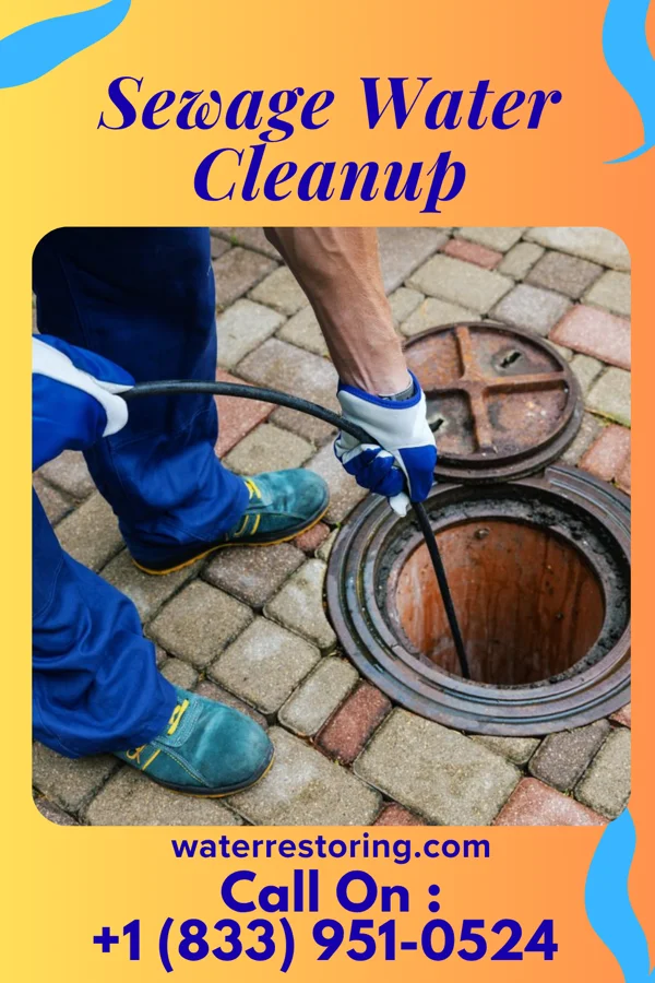 Sewage Water Cleanup in Rosholt, WI