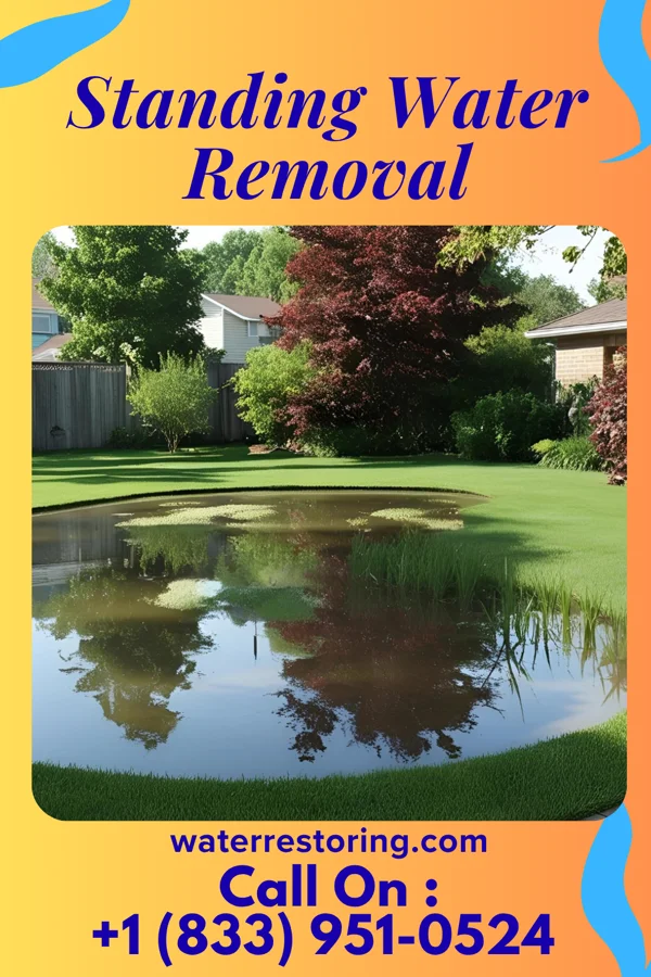 Standing Water Removal in Rosholt, WI